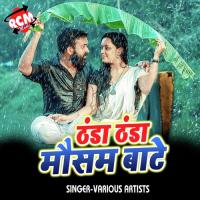 Rangi Ke Saya Sari Virendra Bharti Song Download Mp3