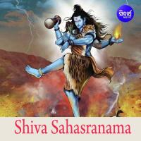 Siba Sahasaranama Karunakar Song Download Mp3