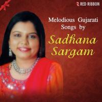 Melodious Gujarati Songs By Sadhana Sargam songs mp3