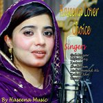 Shndo Me Surkhi Shabnam Naseem Song Download Mp3