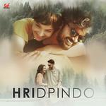 Hridpinder Taan Durnibar Saha Song Download Mp3