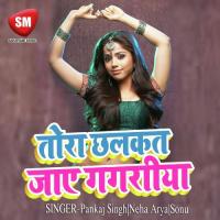 Tora Chalkat Jaye Gagariya (Bhojpuri Song) songs mp3