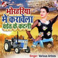 Lahanga Me Rang Dal Lebe Da & Nilam Song Download Mp3