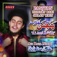 Panjtan Hamary Bari Shaan Waly Ali Raza Noori Song Download Mp3