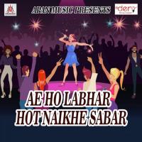 Ae Ho Labhar Hot Naikhe Sabar Vikash Bedardi Song Download Mp3