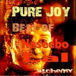 Pure Joy, Vol. 2 (Best Of) songs mp3