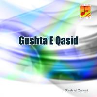 Gushta-e-Qasid songs mp3