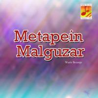 Metapein Malguzar songs mp3