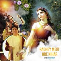 Radhey Meri Ore Nihar Anil Sharma Song Download Mp3