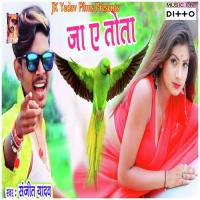 Jaghe Par Jatah 2 Sanjeet Yadav Song Download Mp3