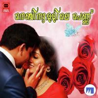 Perariya Pen Kili Nizar Vadakara,Rehna Song Download Mp3