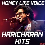 Male Banthu (From"Jessie") Haricharan,Samanvitha Sharma,0.0 Song Download Mp3