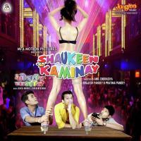 Shaukeen Kaminay songs mp3