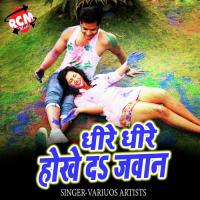 Gauna Jabse Ayli Bhauji Premnath Chauhan Song Download Mp3