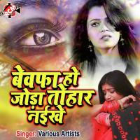 Bewafa Ho Joda Tohar Naikhe (Bhojpuri Song) songs mp3