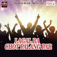 Lagal Ba Chot Palang Par Tullu Tiger Song Download Mp3