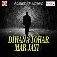 Diwana Tohar Mar Jayi songs mp3
