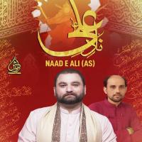 Naad E Ali As Shahid Hussain Baltistani Song Download Mp3
