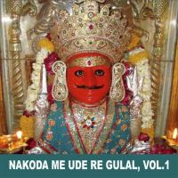 Nakoda Me Ude Re Gulal, Vol. 1 songs mp3