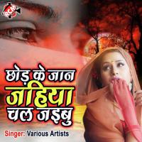 Chhodi Ke Jan Jahiya Chal Jaibu (Bhojpuri Song) songs mp3