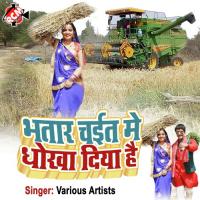 Bhatar Chait Me Dhokha Diya Hain (Bhojpuri Song) songs mp3