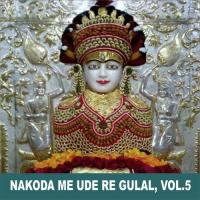 Nakoda Me Ude Re Gulal, Vol. 5 songs mp3