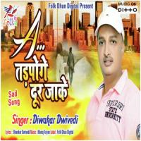 Dil Mein Samane Lage Diwakar Dwivedi Song Download Mp3