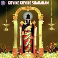 Narayana Suktam (Vishnu) Vighnesh Ghanapaathi,Gurumurthi Bhat,Shridhara Bhat (Vedadhara) Song Download Mp3