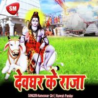 Devghar Ke Raja (Shiv Bhajan) songs mp3