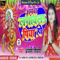 Amawa Lagawala Piya Ho Anil Sarmila Song Download Mp3