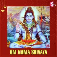 Om Nama Shivaya songs mp3