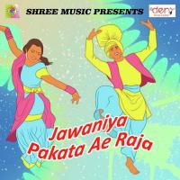Laika Khelaiha Tu Ghatawa Par Ashish Chaubey Song Download Mp3