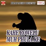 Kahe Rowelu Muh Phula Ke Amit Aanari Song Download Mp3