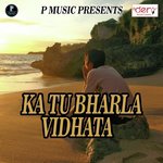Ka Tu Bharla Vidhata Navin Kumar Yadav Song Download Mp3