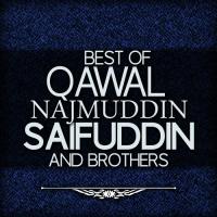 Tu Ne Dewana Qawal Najmuddin Saifuddin And Brothers Song Download Mp3