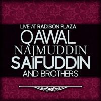Rang (Live) Qawal Najmuddin Saifuddin And Brothers Song Download Mp3