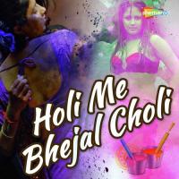 Holi Me Bhejal Choli songs mp3