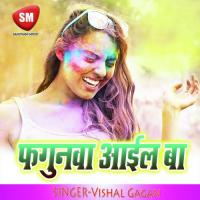 Choli Rangibe Kari Ho Vishal Gagan Song Download Mp3