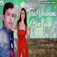 Tera Deewana Ban Gaya Indu Sonali Song Download Mp3