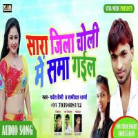 Sara Jila Choli Me Sama Gayil Nisha Pandey Song Download Mp3