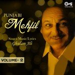 Punjabi Mehfil Vol. 2 songs mp3