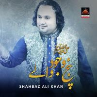 Panj Ne Wajood Walay Shahbaz Ali Khan Song Download Mp3