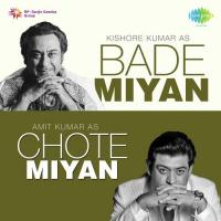 Bade Achhe Lagte Hain (From "Balika Badhu") Amit Kumar Song Download Mp3