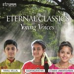 Krishna Nee Begane Rahul Vellal Song Download Mp3