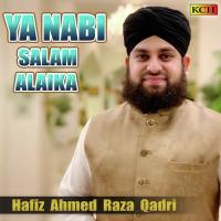 Mery Aqa Madinay Mai Hafiz Ahmed Raza Qadri Song Download Mp3