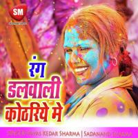 Kanha Kaile Naikhe Meet Vayas Kedar Sharma Song Download Mp3