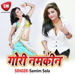 Tu Sabse Namkin Hai Gori Samim Sola Song Download Mp3