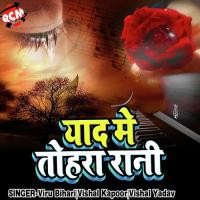 Kauna Tu Galti Ke Saja Tu Delu Viru Bihari Song Download Mp3