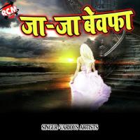 Ja Ja Bewafa Ja Pankaj Kumar Yadav Song Download Mp3