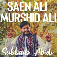 Saen Ali Murshid Ali Subbaib Abidi Song Download Mp3